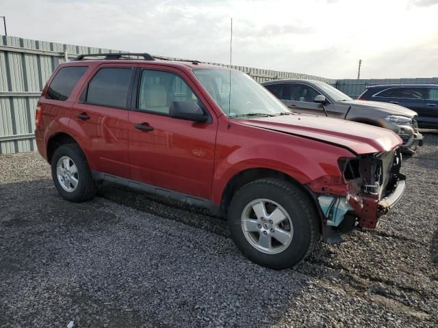  FORD ESCAPE 2012 Красный