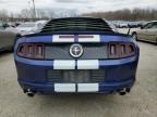 2013 Ford Mustang  for Sale in Louisville, KY - Front End