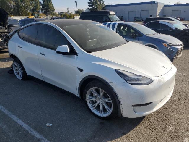  TESLA MODEL Y 2021 Белы