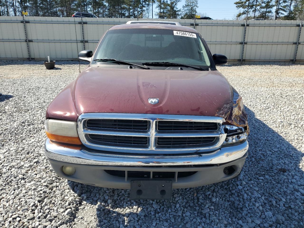 2001 Dodge Dakota - Image 5