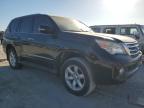 2013 Lexus Gx 460 იყიდება West Palm Beach-ში, FL - Minor Dent/Scratches
