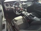 2013 Ford Mustang Gt للبيع في Louisville، KY - All Over