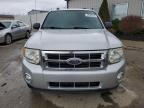 2009 Ford Escape Xlt for Sale in Louisville, KY - Hail