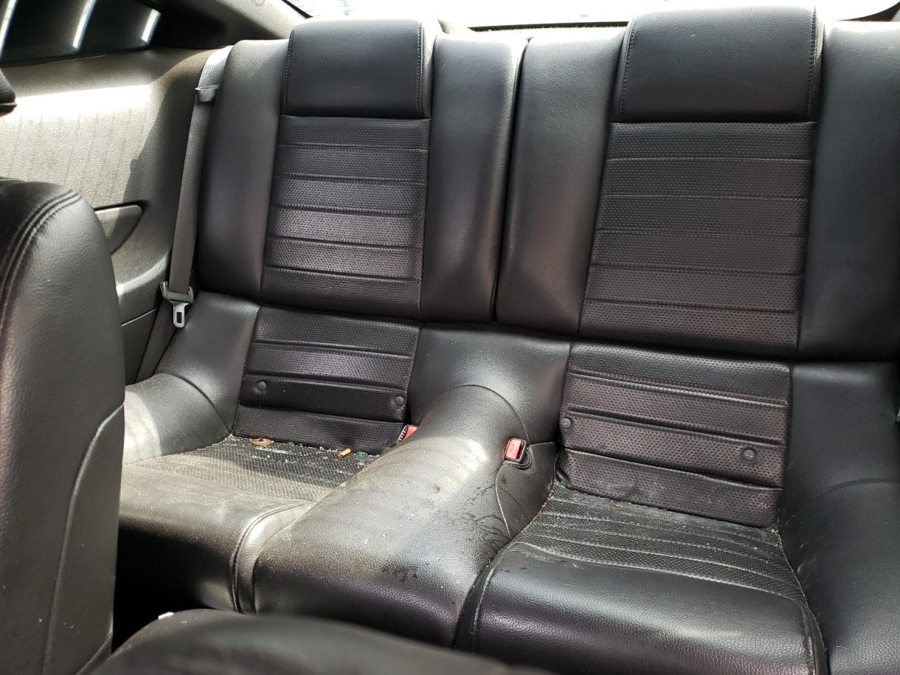 2008 Ford Mustang Gt VIN: 1ZVHT82H085100848 Lot: 50249665