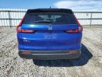 2024 Honda Cr-V Ex   na sprzedaż w Earlington, KY - All Over