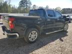 2023 Chevrolet Silverado C1500 Ltz للبيع في Greenwell Springs، LA - Front End
