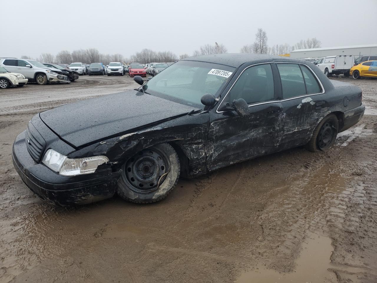 2009 Ford Crown Victoria - Image 1