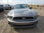 2013 Ford Mustang  للبيع في Indianapolis، IN - Rear End