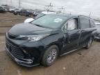 2023 Toyota Sienna Xle for Sale in Elgin, IL - All Over
