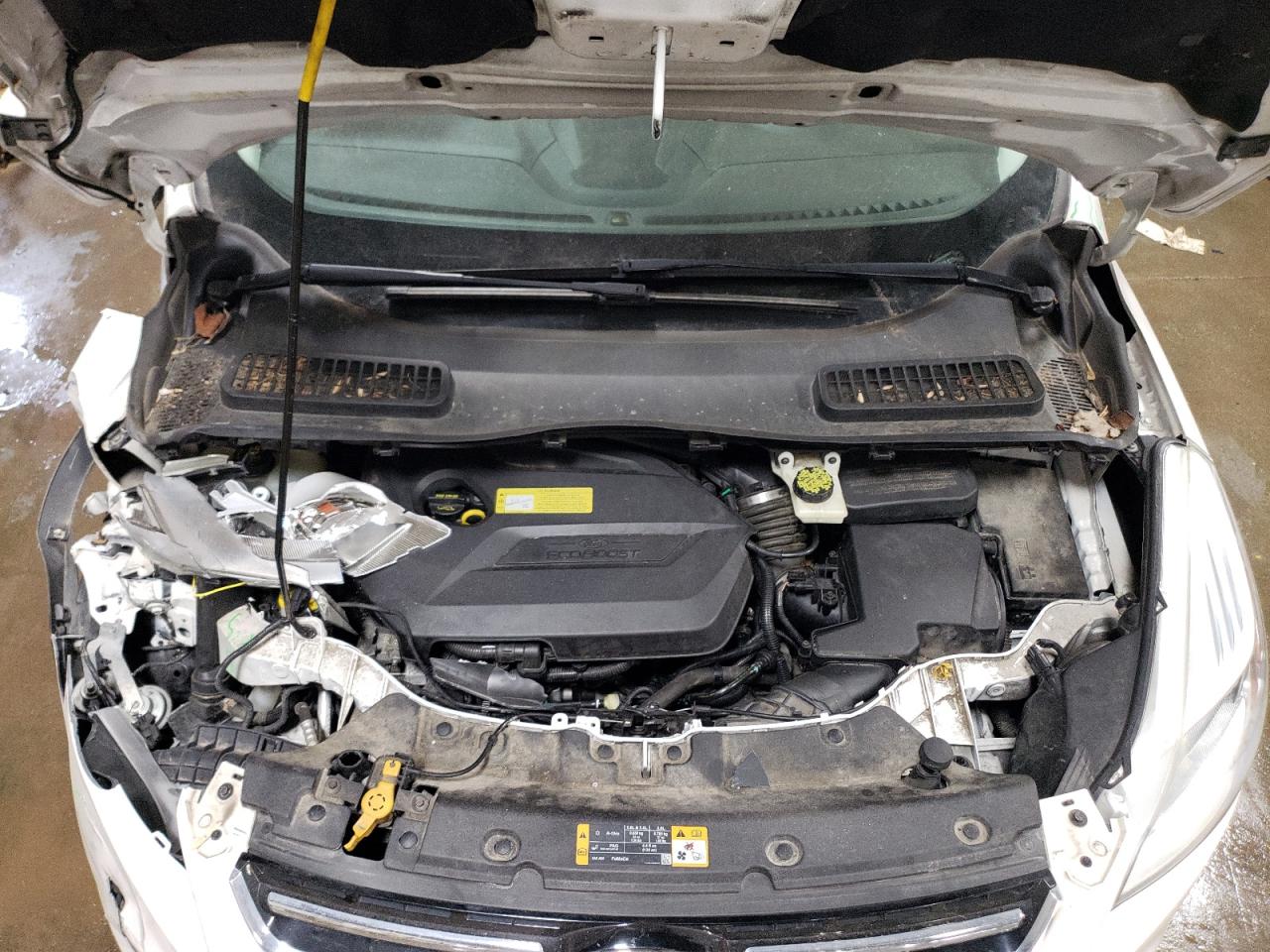 2013 Ford Escape Sel VIN: 1FMCU0HX5DUB79178 Lot: 49319015