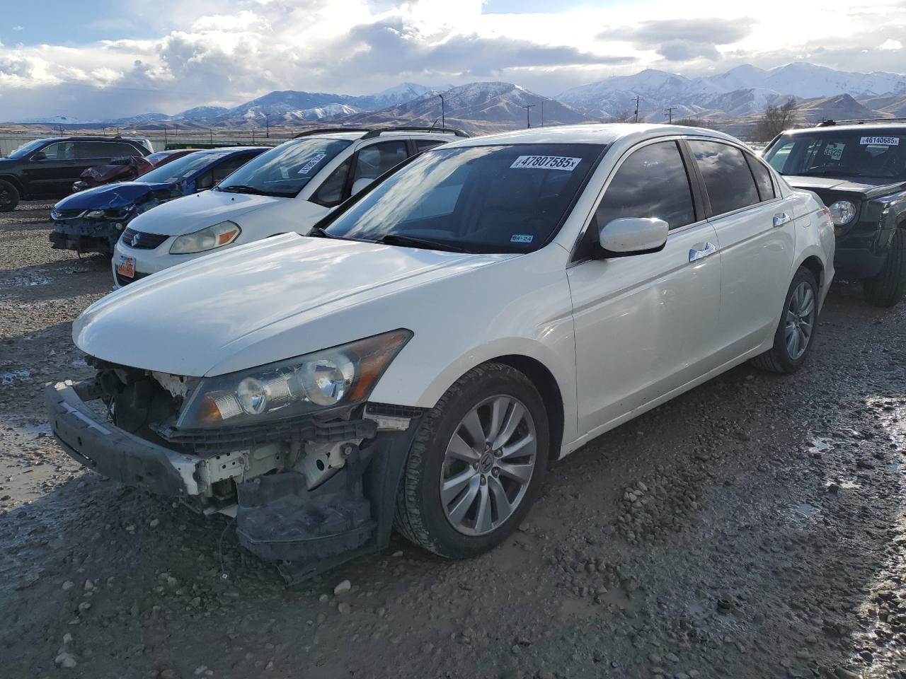 2011 Honda Accord - Image 1