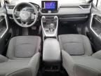 2024 Toyota Rav4 Le en Venta en Las Vegas, NV - Front End