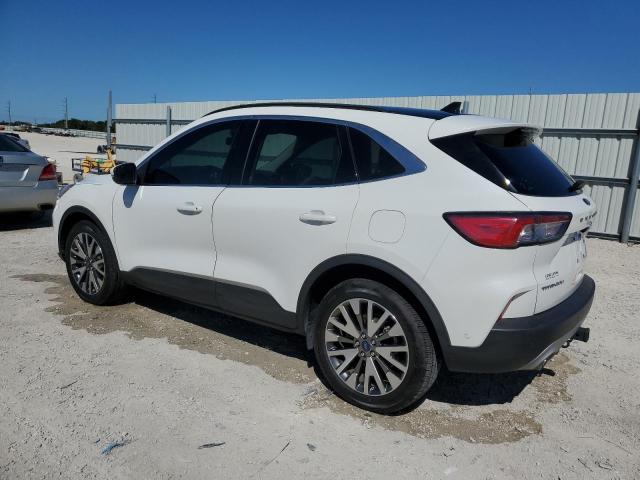  FORD ESCAPE 2020 Белы