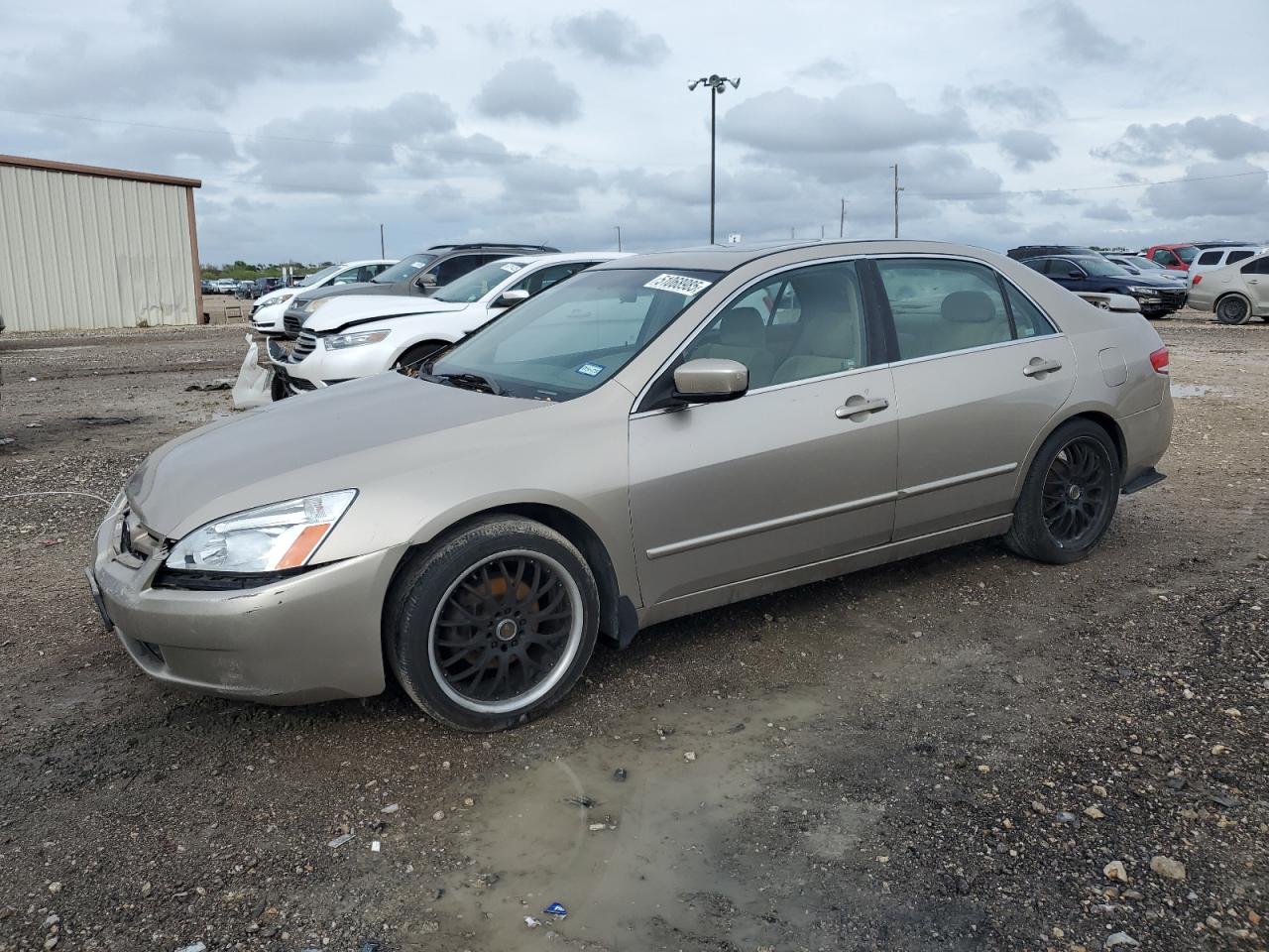 2003 Honda Accord Ex for Sale in Temple, TX - Front End