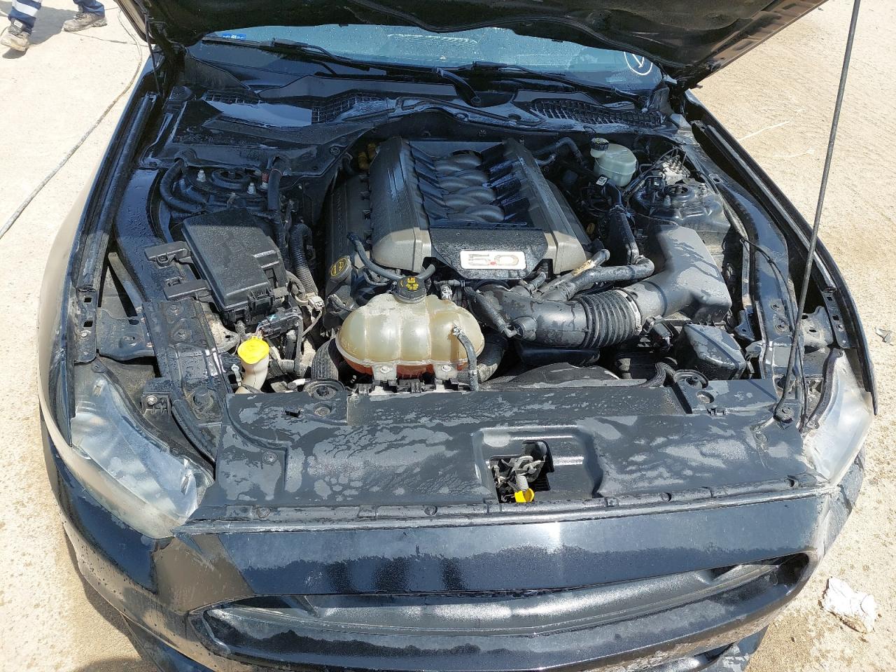 1FA6P8CF7H5224150 - 2017 Ford Mustang - #undefined