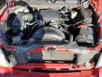 2006 Dodge Dakota Quad Slt for Sale in Albuquerque, NM - All Over