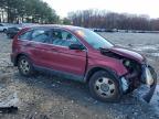 2010 Honda Cr-V Lx for Sale in Windsor, NJ - Front End