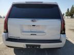 2017 Cadillac Escalade Luxury للبيع في Rancho Cucamonga، CA - Vandalism