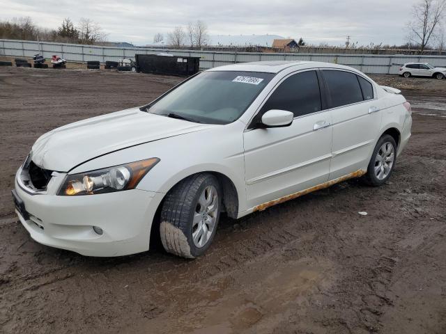 2009 Honda Accord Exl