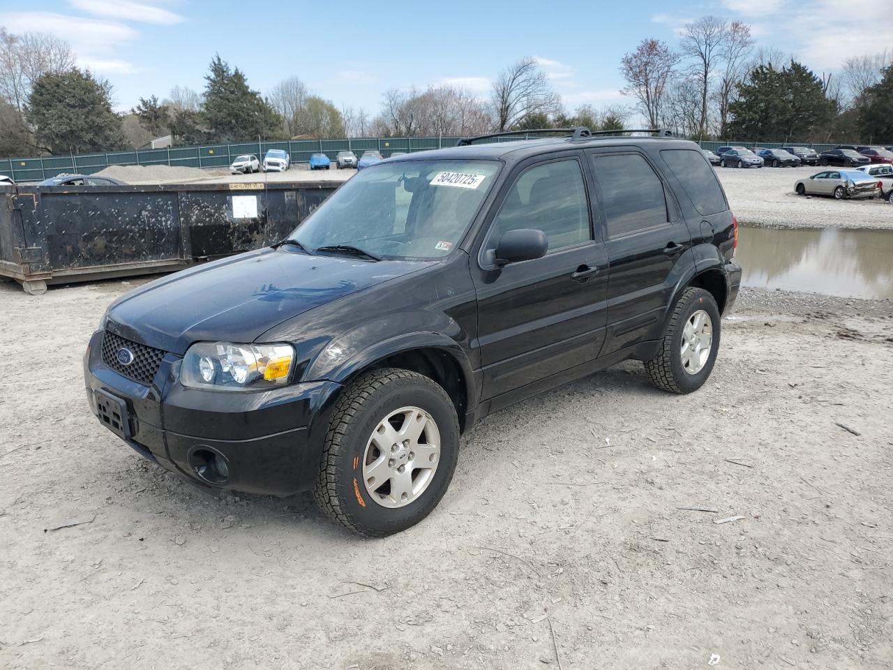 2006 Ford Escape Limited zu verkaufen in Madisonville, TN - Rear End