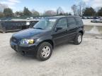 2006 Ford Escape Limited на продаже в Madisonville, TN - Rear End