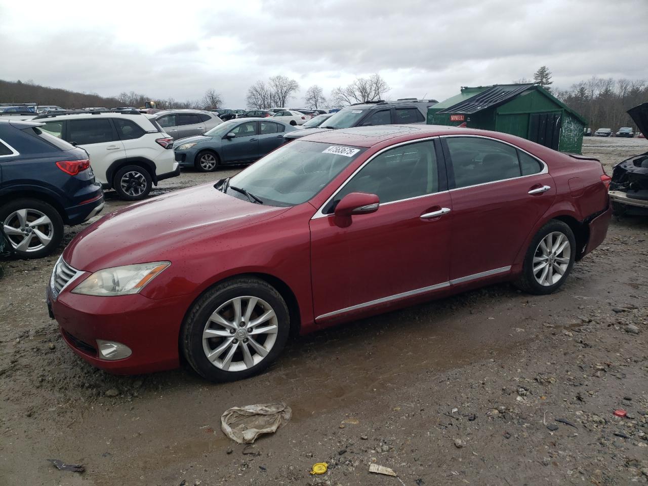 2010 Lexus ES - Image 1