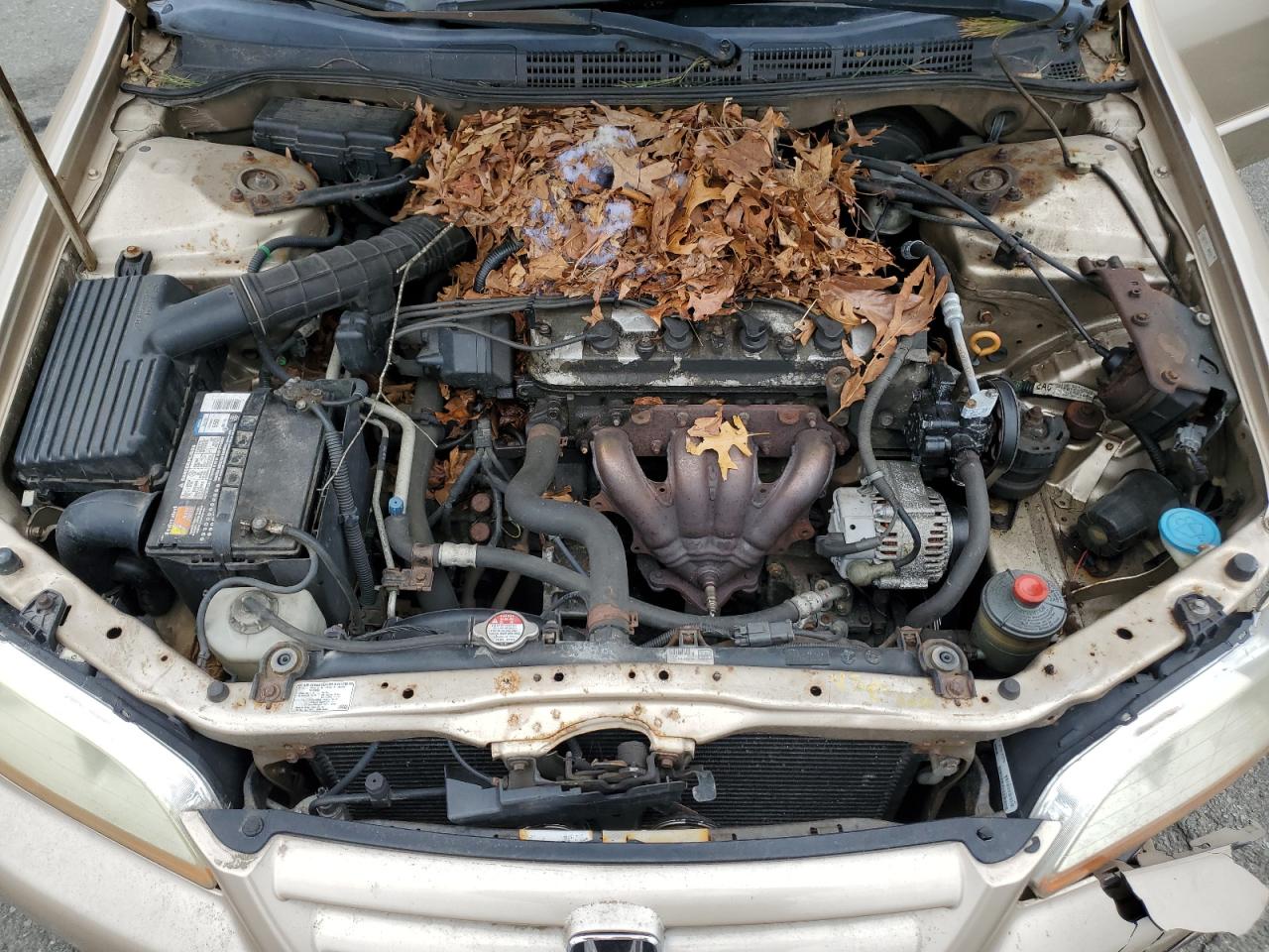 2001 Honda Accord Lx VIN: 1HGCG665X1A050254 Lot: 51138965