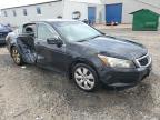 2010 Honda Accord Exl იყიდება Hillsborough-ში, NJ - Side