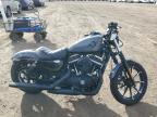 Brighton, CO에서 판매 중인 2022 Harley-Davidson Xl883 N - All Over