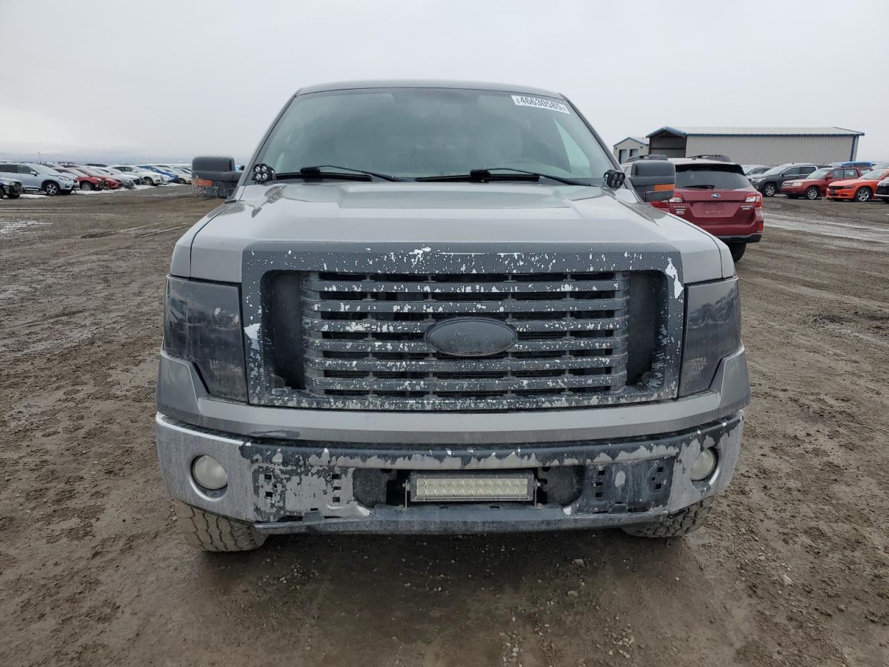 2010 Ford F-150 - Image 5