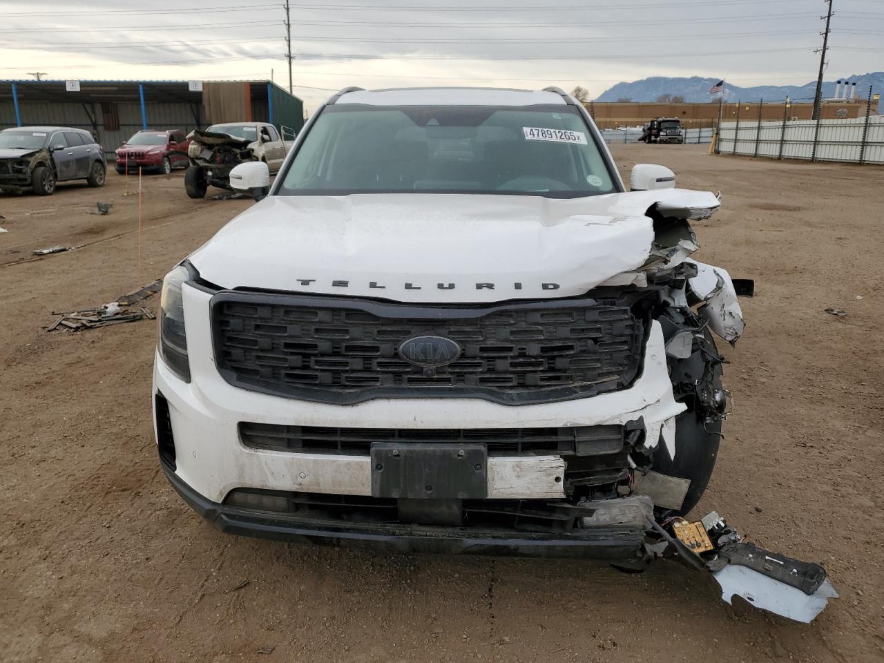 2021 Kia Telluride - Image 5