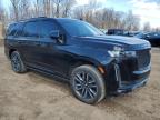 2023 Cadillac Escalade Sport Platinum на продаже в Davison, MI - Front End