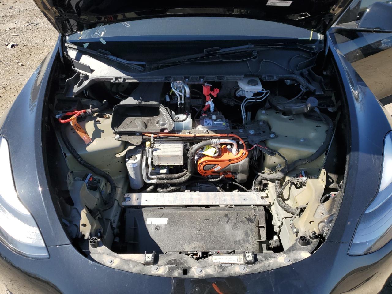 2024 Tesla Model Y VIN: 7SAYGAEE8RF991619 Lot: 50828165