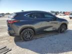 2025 Lexus Nx 250 Base for Sale in Arcadia, FL - Side