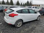 2017 Ford Focus Se en Venta en Albany, NY - Front End