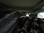 2024 Kia Sportage X Line na sprzedaż w Center Rutland, VT - Biohazard/Chemical