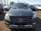 2015 Mercedes-Benz Ml 350 Bluetec en Venta en Bowmanville, ON - Rear End