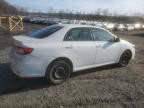 2013 Toyota Corolla Base for Sale in Marlboro, NY - Side