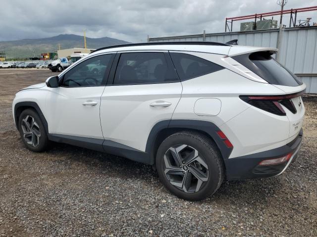  HYUNDAI TUCSON 2023 Белы