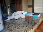 2008 'Other Rv' Other for Sale in Greenwell Springs, LA - Undercarriage