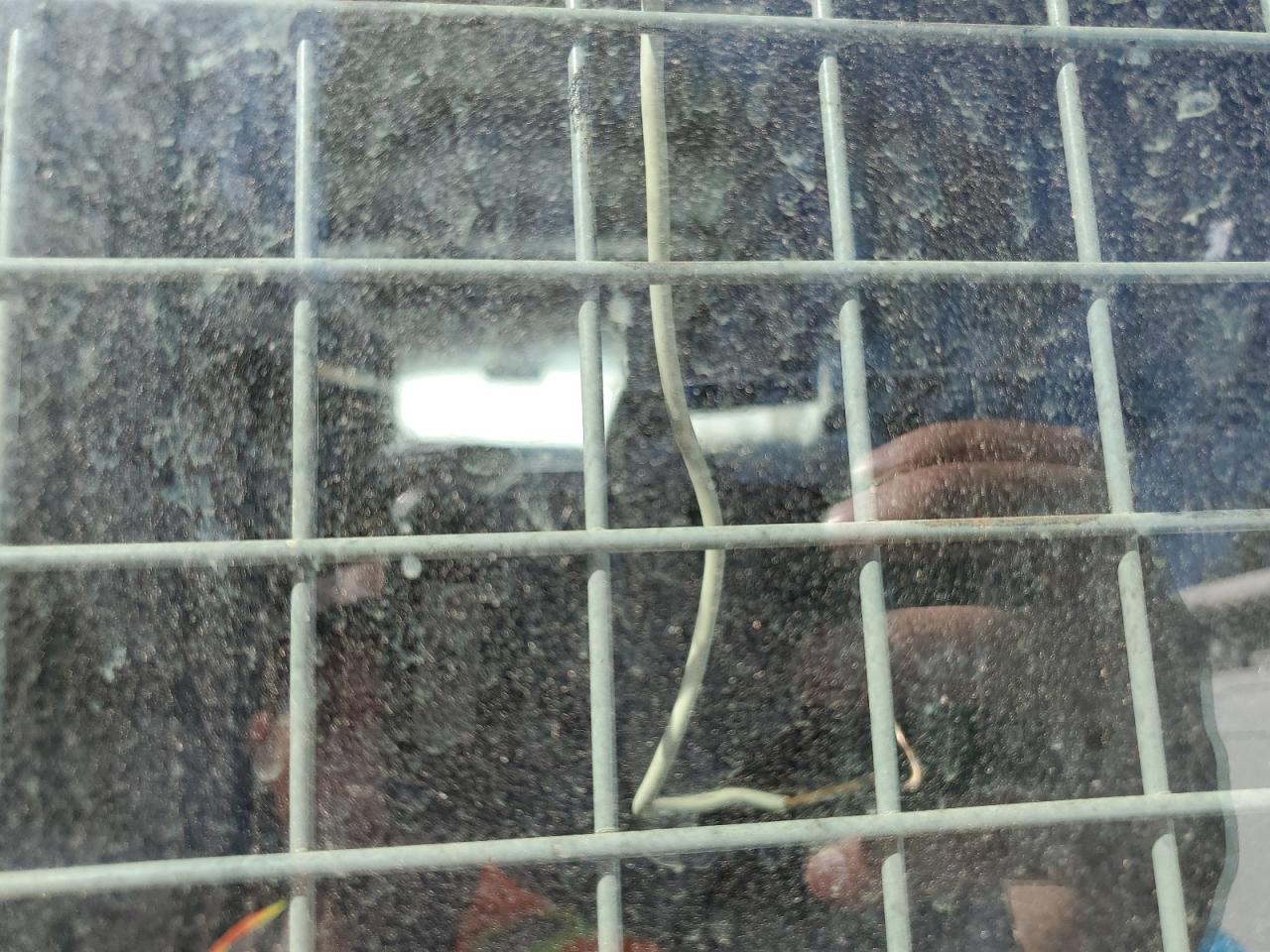 2013 Chevrolet Express G2500 VIN: 1GCWGFCA3D1902736 Lot: 47980015