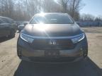 2022 Honda Odyssey Elite for Sale in Glassboro, NJ - Rear End