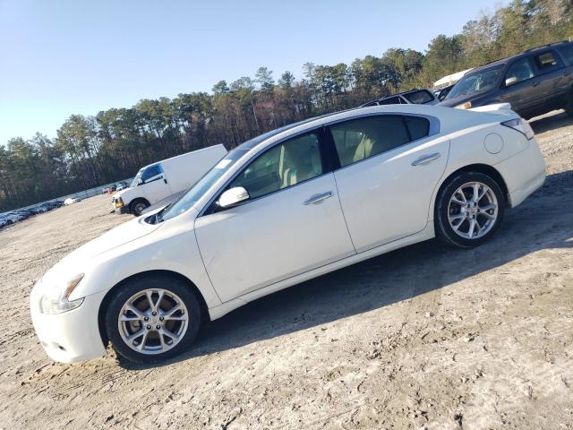  NISSAN MAXIMA 2013 Белый