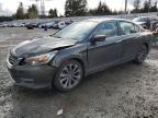 2013 Honda Accord Sport   na sprzedaż w Graham, WA - Front End
