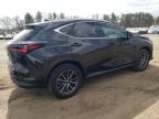2024 Lexus Nx 350 Premium იყიდება Finksburg-ში, MD - Front End