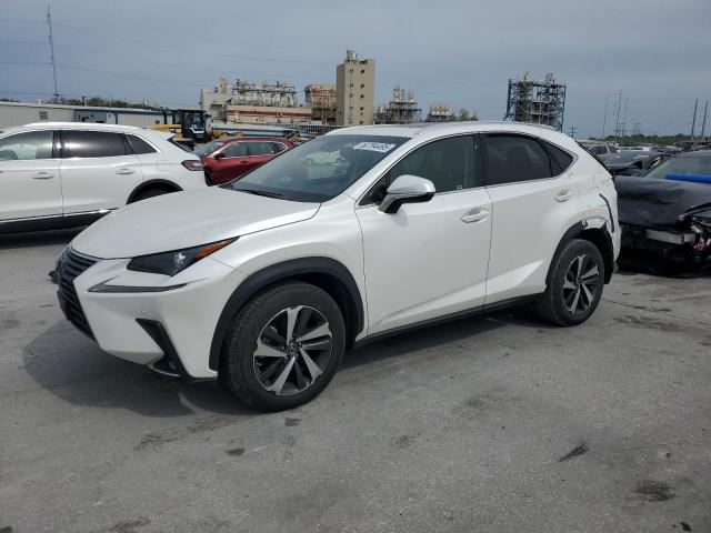  LEXUS NX 2019 Білий