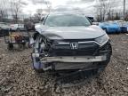 2021 Honda Cr-V Exl на продаже в Chalfont, PA - Front End