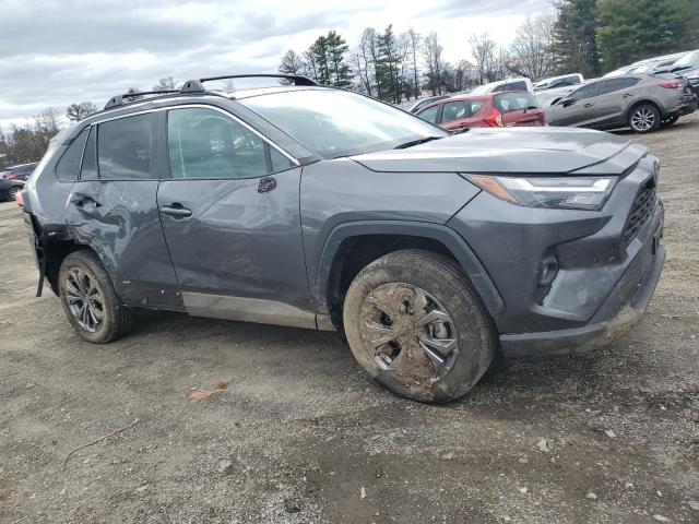  TOYOTA RAV4 2022 Gray