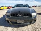 2014 Ford Mustang  for Sale in Amarillo, TX - Front End