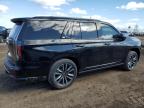 2023 Cadillac Escalade Sport Platinum на продаже в Davison, MI - Front End